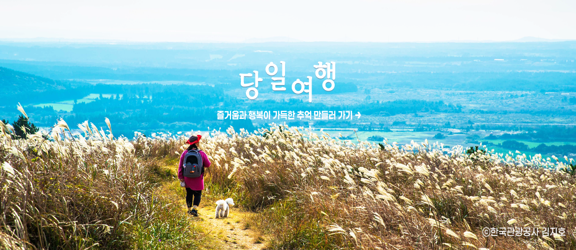 당일