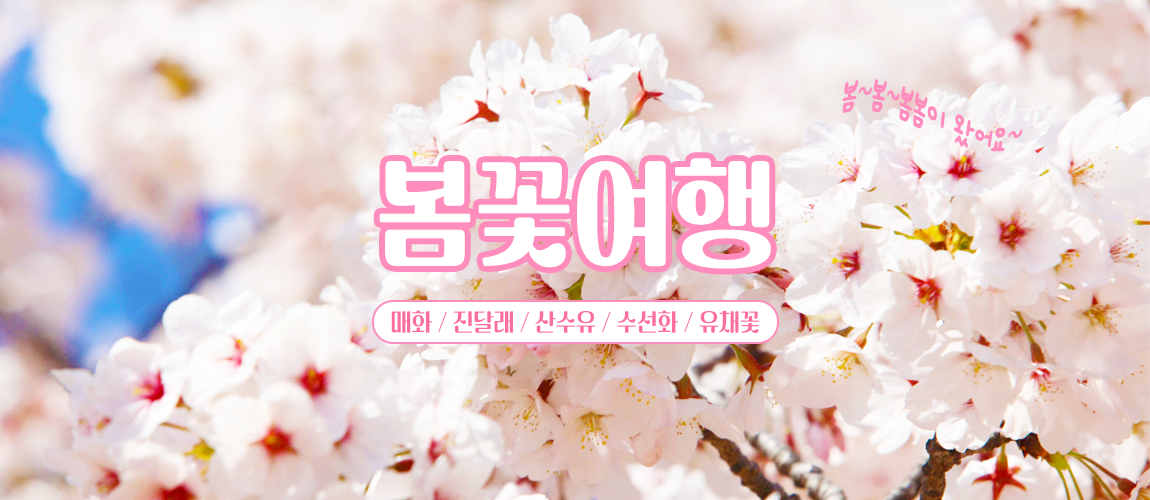 봄꽃여행